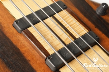 Platinum Series Single-Cut , e-volution 5 - Macassar Ebony